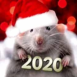 График работы в Новый год и Рождество 2020 г