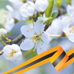 График работы в первомайские праздники