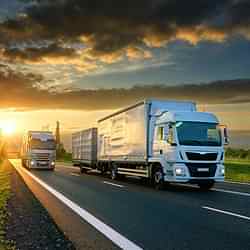 Группа компаний Викинг празднует свой 21 день рождения