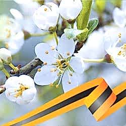 График работы в майские праздники