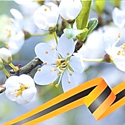 График работы на майские праздники 2021